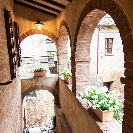 La Loggetta Leilighet Buonconvento Eksteriør bilde